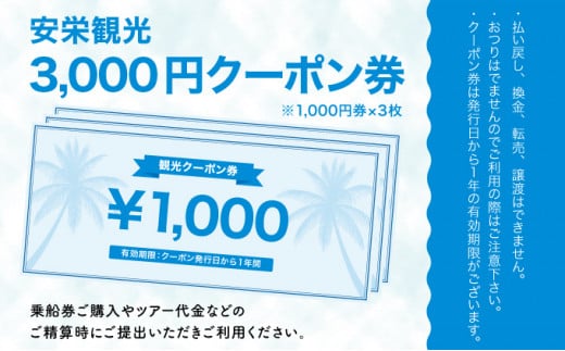 安栄観光 3,000円クーポン券 3,000円