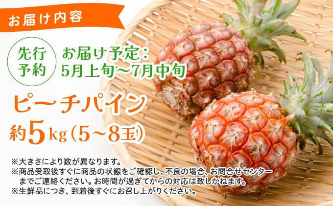 《2026年 先行予約》ピーチパイン 約5kg 5～8玉 農園ファイミール 完熟 果物 フルーツ 約5kg（5～8玉入り）