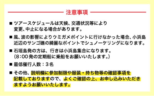 【石垣発】幻の島上陸＆海亀とシュノーケリング♪　無料『マーメイド体験、シャワー、お食事、小浜観光、片道船券付き』 竹富観光可【 旅行 体験チケット観光 大自然 体験ツアー 観光 沖縄 アクティビティ シュノーケリング 】 石垣発