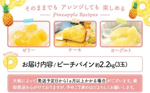 2026年 先行予約 ピーチパイン 約 2.2kg (3玉) ★西表島ふる～つらんど★不動の人気No.1 甘熟 果物 フルーツ パイン 約2.2kg 3玉