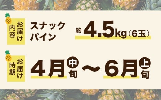 2026年 先行予約 スナックパイン 約4.5kg 6玉 西表島ひらい農園 パイナップル 果物 フルーツ パイン 約4.5kg 6玉