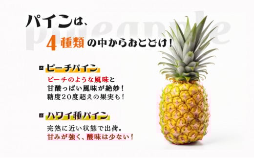 2026年 先行予約 パイン マンゴー セット トロピカルフルーツセット ますみ農園 果物