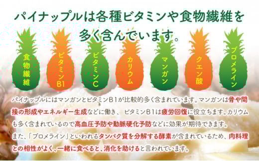 濃香ピーチパイン約9.5kg 【P】2026年 先行予約 ★たっぷり大家族サイズ★西表島 絶品 初エコファーマー認定 　【036-a008】 約9.5kg