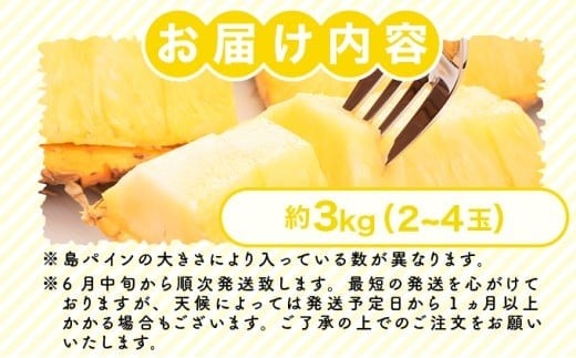 2026年 先行予約 島パイン (ハワイ種) 約3kg (2～4玉) パイナップルの王道 西表島産 パイン 果物 フルーツ 約3kg（2～4玉）