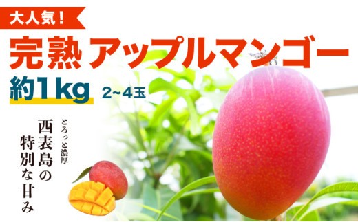 2026年 先行予約 アップルマンゴー 約1kg (2～4玉) 完熟 マンゴー ますみ農園 果物 フルーツ 約1kg（2～4玉）
