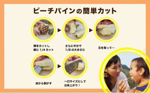 2026年 先行予約 ピーチパイン 約2kg 2～4玉 濃密 "いってＱ"でも紹介された 西表島ひらい農園 パイン パイナップル 果物 フルーツ 約2kg（2～4玉）