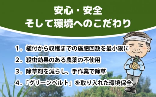 【2026年発送】南国の香り！ 早穫り完熟パイン