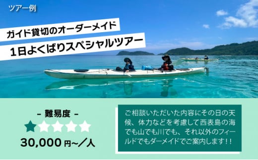 旅行券 沖縄 チケット 西表島 アクティビティ ツアーチケット 6,000円 旅行クーポン 旅行 体験 観光 クーポン 6,000円分