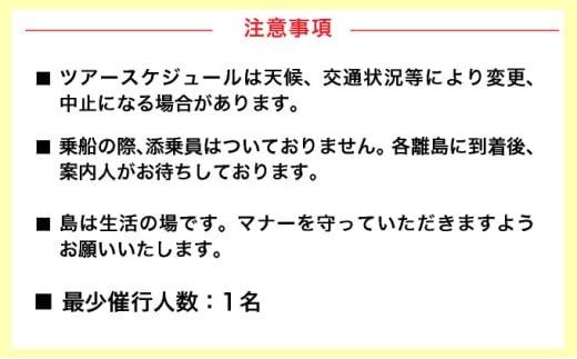 竹富島日帰り観光ツアー　～水牛車で楽しむ竹富島での過ごし方＜半日／指定ホテルお送り＞【 旅行 体験チケット観光 大自然 体験ツアー 観光 沖縄 アクティビティ】