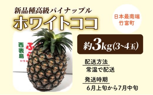 新品種高級パイナップル ホワイトココ 希少品種 ココナッツの香り 約3kg（3～4玉）