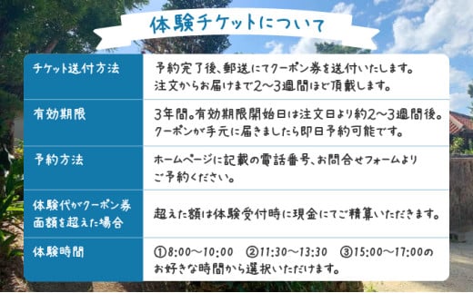 じーまみ豆腐作り体験