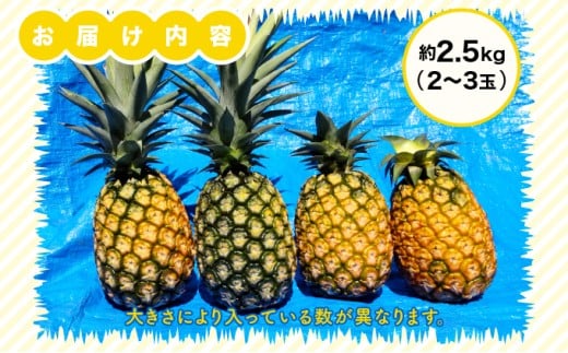 高級パイナップル 芳醇な香りと甘み サンドルチェ 約2.5kg（2～3玉）