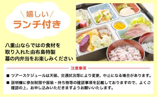 西表島・由布島を巡る日帰りツアー　
～マングローブ遊覧＋水牛車＋由布島たっぷり90分＜石垣島発着／半日／昼食／送迎＞【 旅行 体験チケット観光 大自然 体験ツアー 観光 沖縄 アクティビティ 水牛 牛車 】