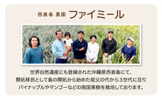 定期便 5回 2026年 先行予約 パイナップル マンゴー 旬果便 農園ファイミール 果物 フルーツ お楽しみ