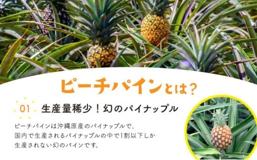 パイン ジュース ITQI2021 三ツ星受賞 24個 24個
