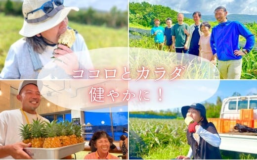 ☆新感覚の味わい☆桃のような芳醇な香りのする　『西表島産完熟ピーチパイン』約3kg（4～5個入） 約3kg（4～5個入）