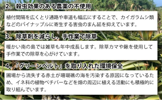 【2026年発送】リピータ続出！西表パイン園の蜜入り ピーチパイン8kgセット