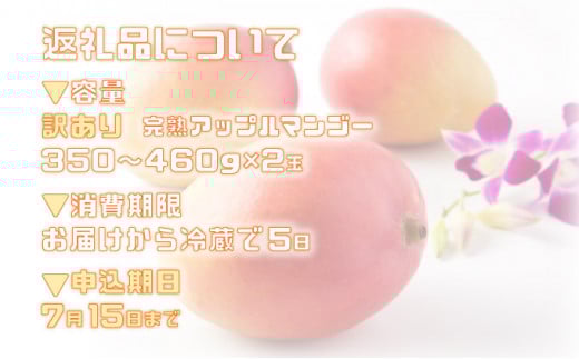 ＜2026年 先行予約＞訳あり 完熟 アップルマンゴー 2L 350g～460g 2玉 マンゴー 果物 デザート 品評会連続入賞 2026年 発送 ますみ農園