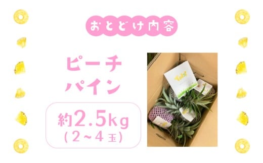 パイナップル ピーチパイン 約2.5kg 2～4玉 パイン 果物 フルーツ 沖縄 西表島【TOK:iふぁーむ】配送不可：離島028-a004_2026 【約2.5kg】 2～4玉