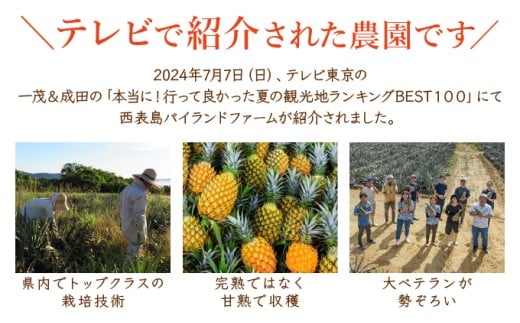 ＜訳あり！＞2026年先行予約　大きさ不揃いお得！箱にいっぱいスナックパイン4kgセット 4kg