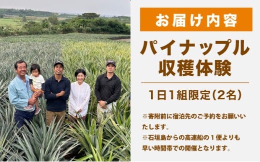 パイナップル収穫体験【2名】爽やかな朝日を浴びた中での開催♪（4月25日～6月15日開催） 2名