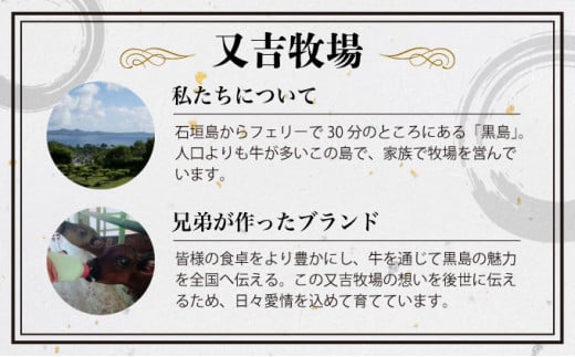 ハンバーグ 牛肉 100% 黒島 アーサ牛 150g×10個 セット