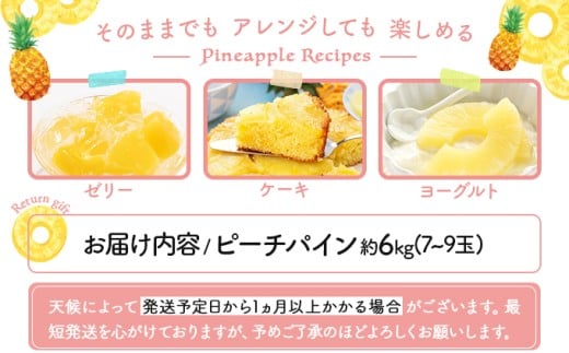 2026年 先行予約 ピーチパイン 約6kg 7～9玉 甘熟 西表島ふる～つらんど 不動の人気No.1 果物 フルーツ パイン 約6kg 7～9玉