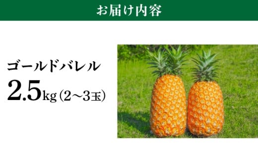 高級感No.1！開発に30年・栽培に3年。パイナップルの最高峰ゴールドバレル2.5kg(2～3玉) 2.5kg(2～3玉)
