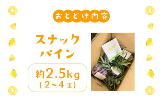 パイナップル スナックパイン 約2.5kg 2～4玉 パイン 果物 フルーツ 沖縄 西表島【TOK:iふぁーむ】配送不可：離島028-a006_2026 【約2.5kg】2～4玉