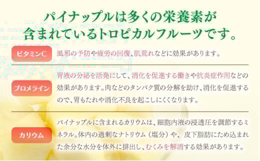 2026年 先行予約 ピーチパイン 約2.5kg 3～5玉 ちゅら西表島産!! ゆたか農園 完熟 パイン 果物 フルーツ パイナップル