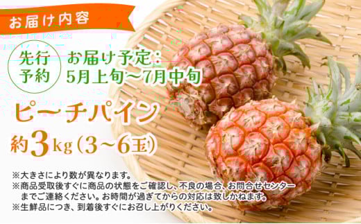 《2026年 先行予約》ピーチパイン 約3kg 3～6玉 農園ファイミール 完熟 果物 フルーツ 約3kg（3～6玉入り）