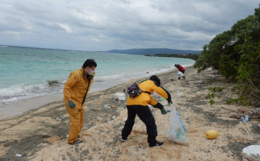 西表島マングローブビーチクリーン＋滝とカヤック 1名様