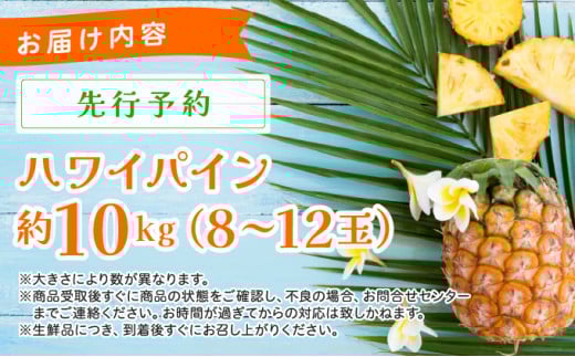 《2026年先行予約》ハワイパイン約10kg 【お届け：2026年6月中旬～7月下旬】【農園ファイミール 完熟 果物 フルーツ パイン パイナップル】 約10kg