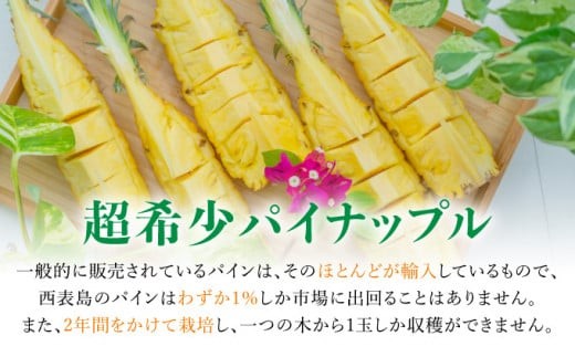 知名度NO.1！糖度が高く真っ黄色な新感覚パイン☆　ちぎって食べるスナックパイン2kg（2～4玉） 約2kg（2～4玉）