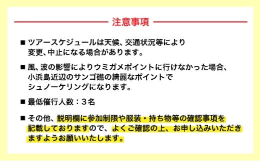 【小浜島発】幻の島上陸＋ウミガメとシュノーケリング♪　無料『マーメイド体験、シャワー、お食事、小浜観光』【 旅行 体験チケット観光 大自然 体験ツアー 観光 沖縄 アクティビティ シュノーケリング 】 小浜島発