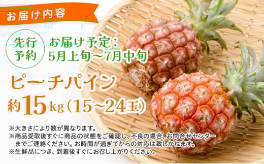 《2026年 先行予約》ピーチパイン 約15kg 15～24玉 農園ファイミール 完熟 果物 フルーツ 約15kg（15～24玉入り）