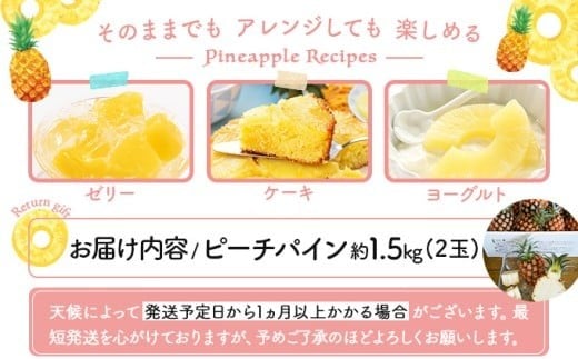 2026年 先行予約 ピーチパイン 2玉 ★西表島ふる～つらんど★不動の人気No.1 甘熟 果物 フルーツ パイン 約1.5kg 2玉