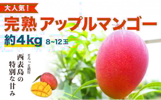2026年 先行予約 アップルマンゴー 約4kg (8～12玉) 完熟 マンゴー ますみ農園 果物 フルーツ 約4kg（8～12玉）