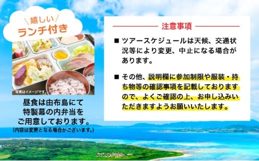 大人気の3島めぐりツアー 西表島・由布島・竹富島を満喫する日帰りツアー マングローブ遊覧＋水牛車＋選べる竹富島での過ごし方＜1日／昼食付＞【 旅行 体験チケット観光 大自然 体験ツアー 観光 沖縄 アクティビティ 】