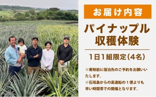 パイナップル収穫体験【4名】爽やかな朝日を浴びた中での開催♪（4月25日～6月15日開催） 4名