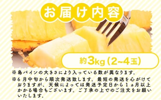 2026年 先行予約 島パイン (ハワイ種) 約3kg (2～4玉) パイナップルの王道 西表島産 パイン 果物 フルーツ 約3kg（2～4玉）