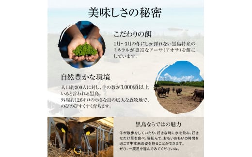 焼肉 セット 黒島 アーサ牛 満喫セット 黒島アーサ牛＆アーサ