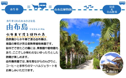 西表島・由布島・竹富島３島めぐり（竹富フリープラン）