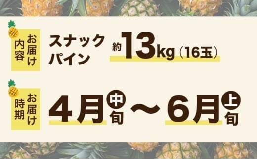 2026年 先行予約 スナックパイン 約13kg 16玉 西表島ひらい農園 パイナップル 果物 フルーツ パイン 約13kg 16玉