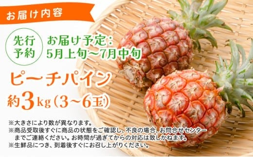 《2026年 先行予約》ピーチパイン 約3kg 3～6玉 農園ファイミール 完熟 果物 フルーツ 約3kg（3～6玉入り）
