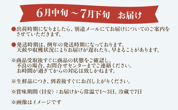 2024年 先行予約 栽培期間中 減農薬 アップルマンゴー 約700g 1～3玉 アナナス農園 完熟 マンゴー 果物 フルーツ