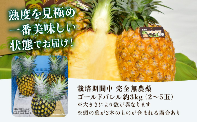 【JASオーガニック】 プレミアムゴールドバレル 約3kg 2～5玉 023-a009_2026