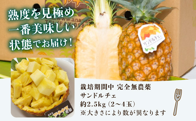 2024年 先行予約 パイナップル ついに実現！ 栽培期間中 完全有機 無農薬 アナナスドルチェ 約2.5kg 2～4玉 果物 フルーツ