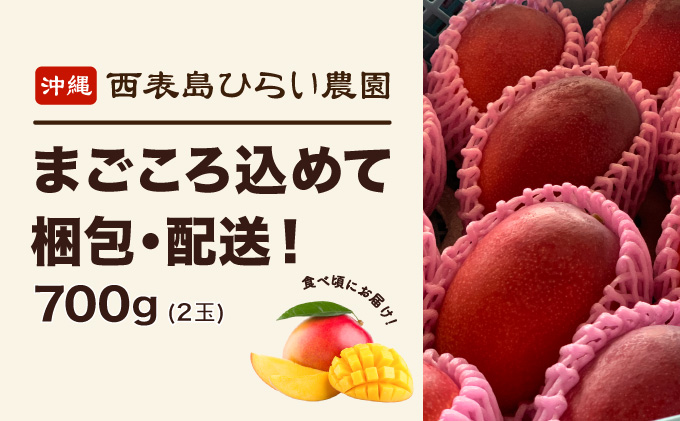2026年 先行予約 アップルマンゴー 約700g 2玉 西表島ひらい農園 マンゴー 果物 フルーツ 027-a005_2026