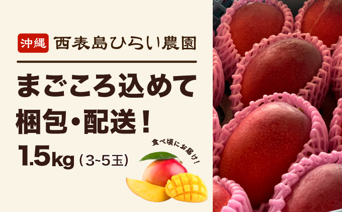 2026年 先行予約 アップルマンゴー 約1.5kg 3～5玉 西表島ひらい農園 マンゴー 果物 フルーツ 027-a006_2026
